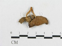 登錄號:F0005412藏品圖，第3張