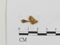 登錄號:F0005413藏品圖，第1張