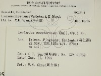 登錄號:F0005414藏品圖，第2張