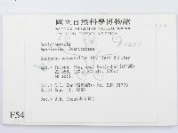 登錄號:F0005415藏品圖，第2張