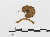 登錄號:F0005415藏品圖，第1張
