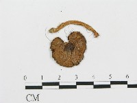 登錄號:F0005415藏品圖，第4張