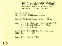 登錄號:F0005418藏品圖，第2張