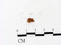 登錄號:F0005418藏品圖，第1張