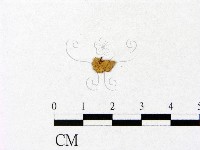 登錄號:F0005418藏品圖，第3張