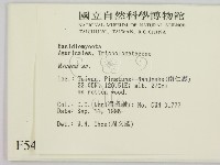小菇屬藏品圖，第2張