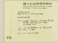 登錄號:F0005423藏品圖，第2張
