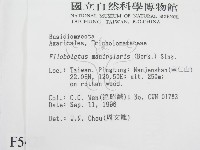 登錄號:F0005428藏品圖，第2張