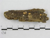 登錄號:F0005428藏品圖，第1張