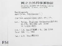 登錄號:F0005429藏品圖，第2張