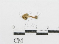 登錄號:F0005429藏品圖，第1張