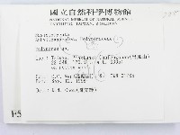 多孔菌屬藏品圖，第2張