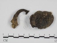 登錄號:F0005431藏品圖，第1張