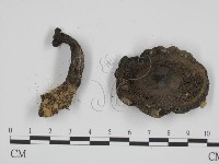 登錄號:F0005431藏品圖，第3張