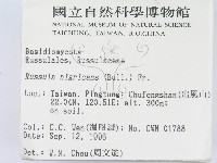 登錄號:F0005432藏品圖，第2張