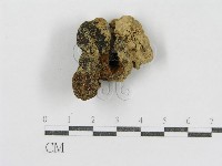 登錄號:F0005433藏品圖，第3張