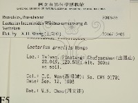 登錄號:F0005435藏品圖，第2張