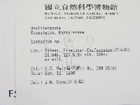 乳菇屬藏品圖，第2張