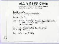 登錄號:F0005439藏品圖，第2張