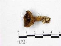 登錄號:F0005439藏品圖，第1張