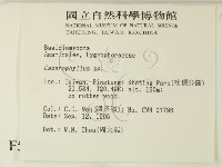 登錄號:F0005440藏品圖，第2張