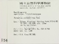 登錄號:F0005442藏品圖，第2張