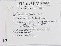 登錄號:F0005443藏品圖，第2張