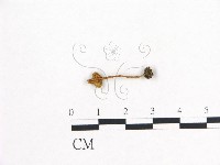 登錄號:F0005443藏品圖，第1張