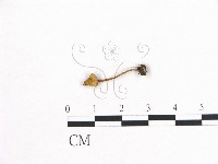 登錄號:F0005443藏品圖，第3張