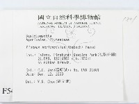 登錄號:F0005445藏品圖，第2張