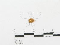 登錄號:F0005445藏品圖，第1張