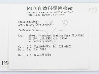 登錄號:F0005446藏品圖，第2張