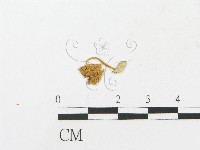 登錄號:F0005449藏品圖，第3張