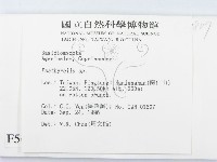 登錄號:F0005450藏品圖，第2張