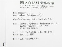 登錄號:F0005454藏品圖，第2張