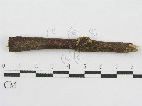 登錄號:F0005454藏品圖，第1張