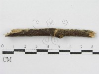 登錄號:F0005454藏品圖，第3張