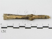 登錄號:F0005454藏品圖，第4張