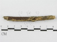 登錄號:F0005454藏品圖，第5張