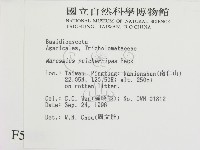 登錄號:F0005455藏品圖，第2張