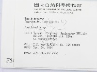登錄號:F0005456藏品圖，第2張