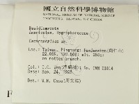 登錄號:F0005457藏品圖，第2張