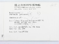 登錄號:F0005458藏品圖，第2張