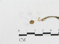 登錄號:F0005458藏品圖，第3張