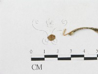 登錄號:F0005458藏品圖，第4張