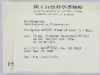 相鄰小孔菌藏品圖，第2張