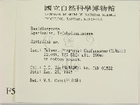 登錄號:F0005463藏品圖，第2張