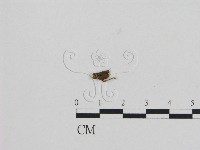 登錄號:F0005463藏品圖，第3張