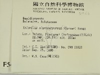 登錄號:F0005466藏品圖，第2張