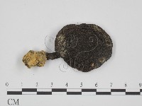 登錄號:F0005466藏品圖，第1張